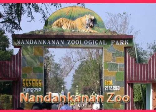 zoo