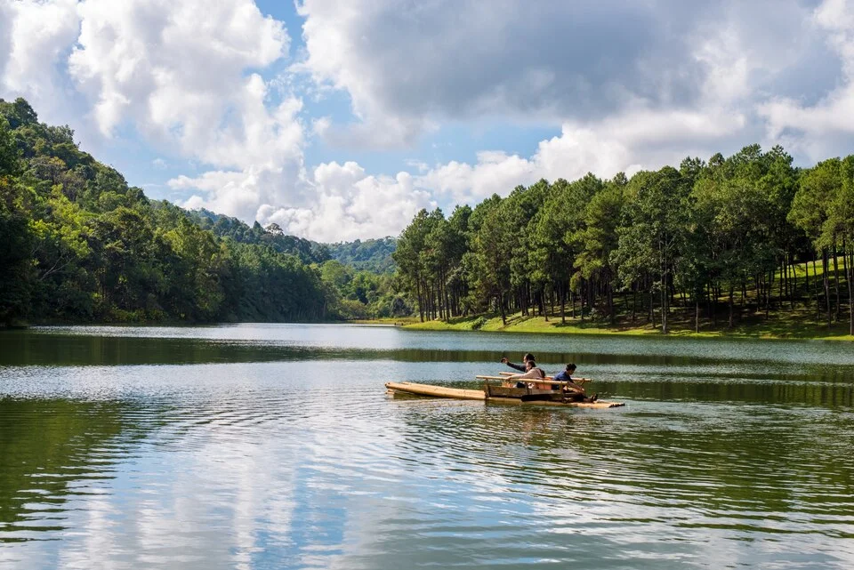 bhitarkanika national park